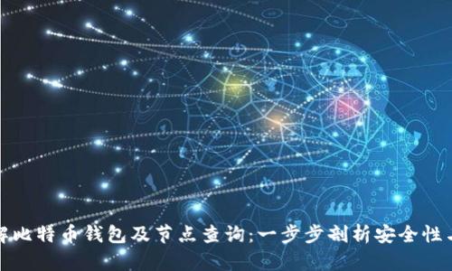 全面了解比特币钱包及节点查询：一步步剖析安全性与便捷性