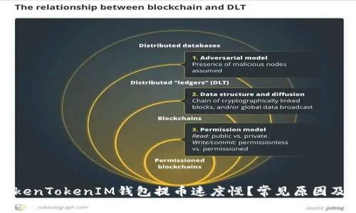 为什么TokenTokenIM钱包提币速度慢？常见原因及解决方案