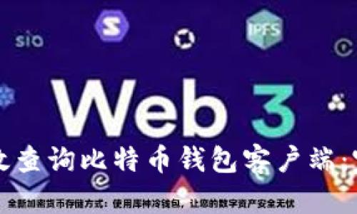 如何高效查询比特币钱包客户端：完整指南