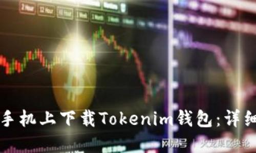 如何在苹果手机上下载Tokenim钱包：详细步骤与指南