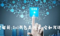 深度解析：Sol钱包是什么