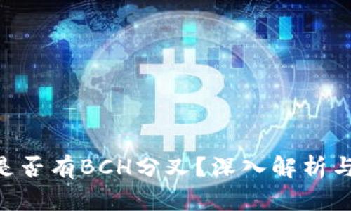 Tokenim是否有BCH分叉？深入解析与投资前景