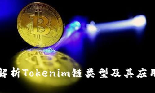 深入解析Tokenim链类型及其应用前景