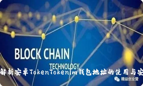 全面解析安卓TokenTokenim钱包地址的使用与安全性