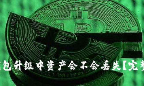 Tokentokenim钱包升级中资产会不会丢失？完整解析与用户指南