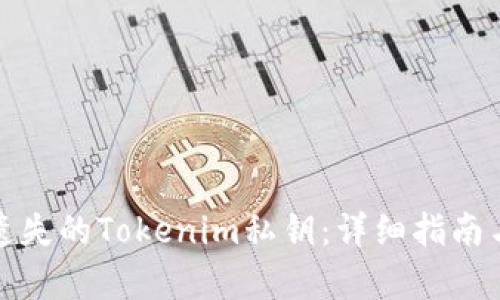 如何恢复遗失的Tokenim私钥：详细指南与解决方案