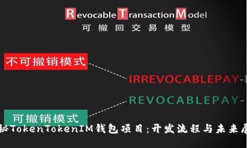 揭秘TokenTokenIM钱包项目：开发流程与未来展望