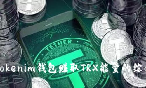 通过Tokenim钱包赚取TRX能量的综合指南