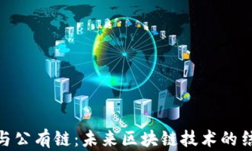 
Tokenim与公有链：未来区块链技术的结合与应用