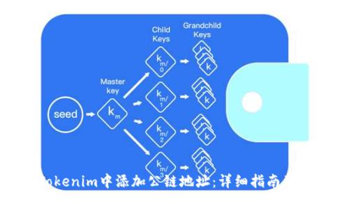 如何在Tokenim中添加公链地址：详细指南及实用技巧