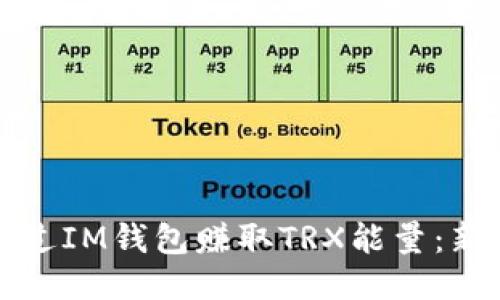 如何通过IM钱包赚取TRX能量：新手指南