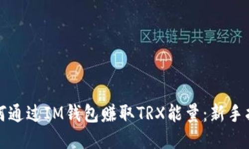 如何通过IM钱包赚取TRX能量：新手指南