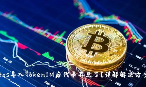 Eos导入TokenIM后代币不见了？详解解决方案