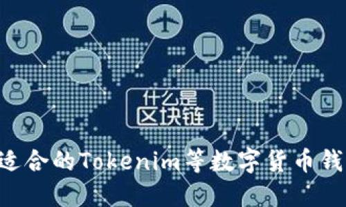 如何选择最适合的Tokenim等数字货币钱包：全面指南