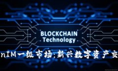 全面解析TokenIM一级市场：