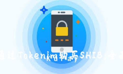 如何通过Tokenim购买SHIB：全面指南