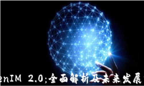 
TokenIM 2.0：全面解析及未来发展方向