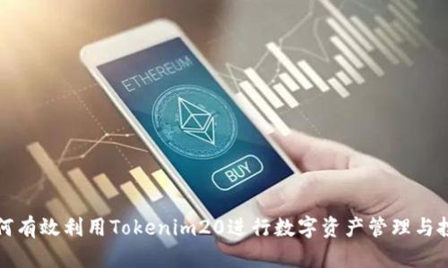 如何有效利用Tokenim20进行数字资产管理与投资