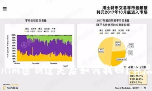 Tokenim密钥遗失后如何找回？详尽指南