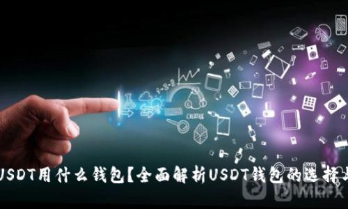 收取USDT用什么钱包？全面解析USDT钱包的选择与使用