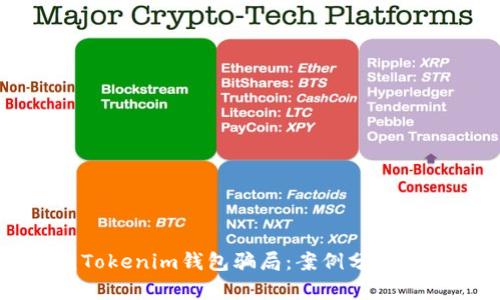 如何防范Tokenim钱包骗局：案例分析与实用指南