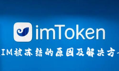 TokenIM被冻结的原因及解决方案详解