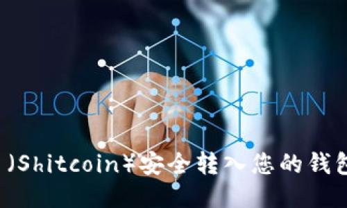 如何将屎币（Shitcoin）安全转入您的钱包？详细指南