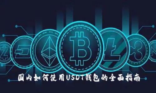 国内如何使用USDT钱包的全面指南