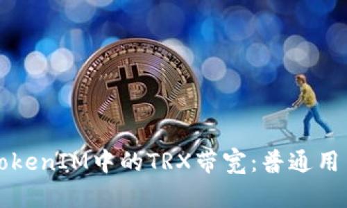 深入了解TokenIM中的TRX带宽：普通用户必备指南