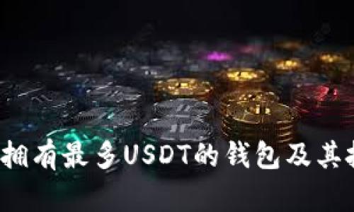 2023年拥有最多USDT的钱包及其投资启示