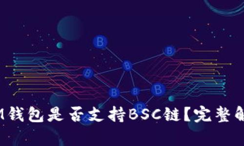 TokenTokenIM钱包是否支持BSC链？完整解析与使用指南