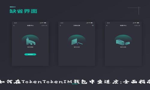 如何在TokenTokenIM钱包中查进度：全面指南