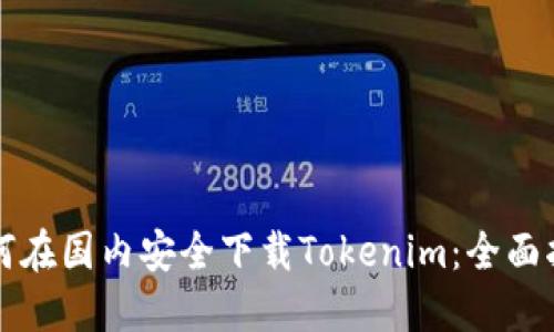 如何在国内安全下载Tokenim：全面指南