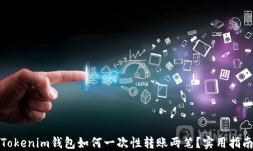 
Tokenim钱包如何一次性转账两笔？实用指南