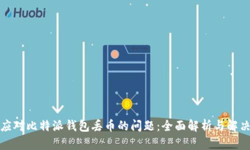 如何应对比特派钱包丢币的问题：全面解析与解决方案