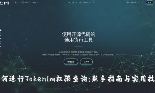 如何进行Tokenim权限查询：新手指南与实用技巧