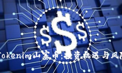 了解Tokenim山寨币：投资机遇与风险解析