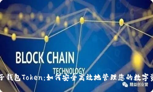 电子钱包Token：如何安全高效地管理您的数字资产