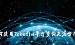 如何使用Tokenim平台查询天