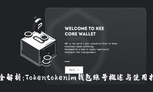 完全解析：Tokentokenim钱包账号概述与使用指南