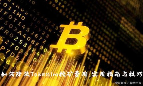 如何降低Tokenim挖矿费用：实用指南与技巧