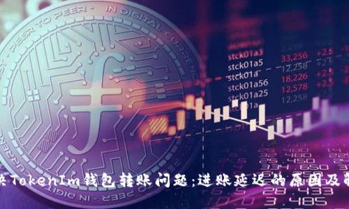 如何解决TokenIm钱包转账问题：进账延迟的原因及解决方案