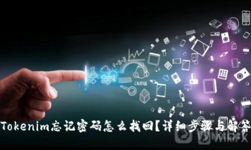 Tokenim忘记密码怎么找回？详细步骤与解答