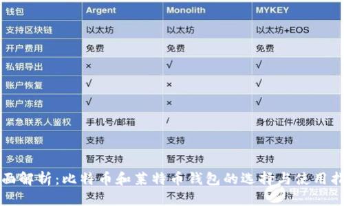 全面解析：比特币和莱特币钱包的选择与使用指南