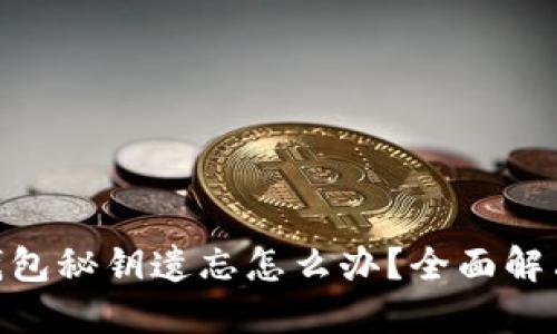 Tokenim钱包秘钥遗忘怎么办？全面解决方案指南