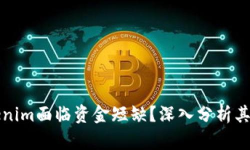 为什么Tokenim面临资金短缺？深入分析其原因与影响