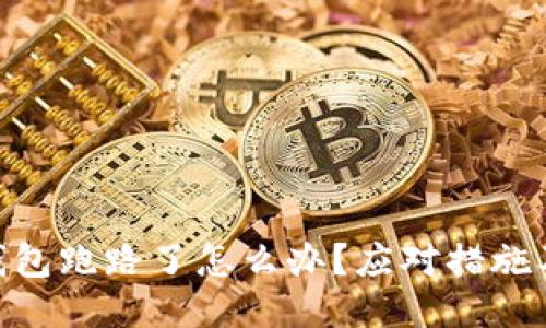 Tokenim钱包跑路了怎么办？应对措施及保护指南