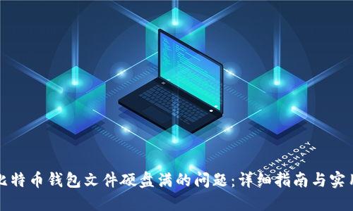 解决比特币钱包文件硬盘满的问题：详细指南与实用技巧