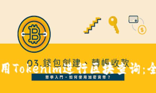 如何使用Tokenim进行区块查询：全面指南