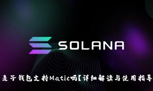 麦子钱包支持Matic吗？详细解读与使用指导